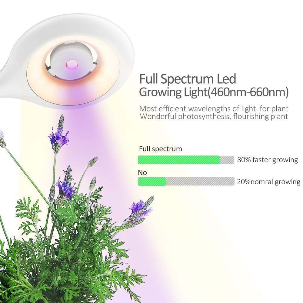 Intelligent Plant Growth Box with Table Lamp