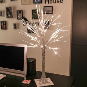 USB Birch Light